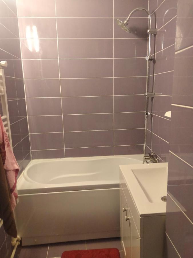 Apartament Geo Nehoiu Eksteriør billede