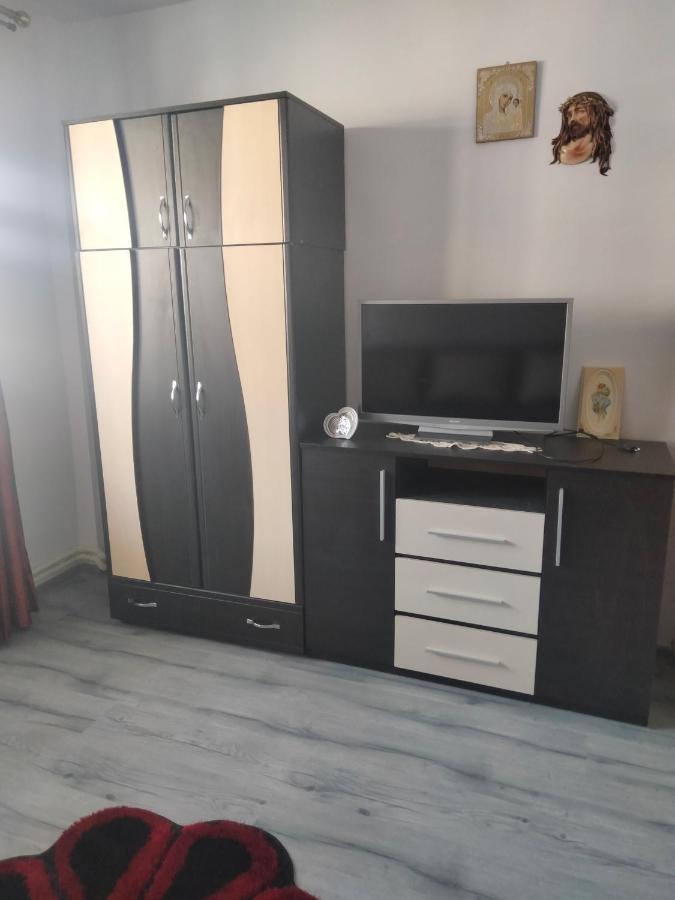 Apartament Geo Nehoiu Eksteriør billede