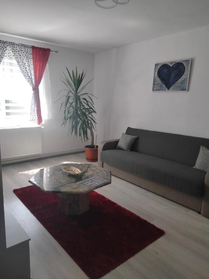 Apartament Geo Nehoiu Eksteriør billede