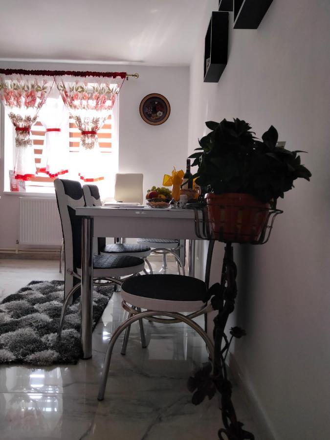 Apartament Geo Nehoiu Eksteriør billede