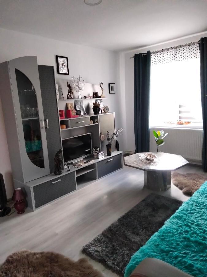 Apartament Geo Nehoiu Eksteriør billede