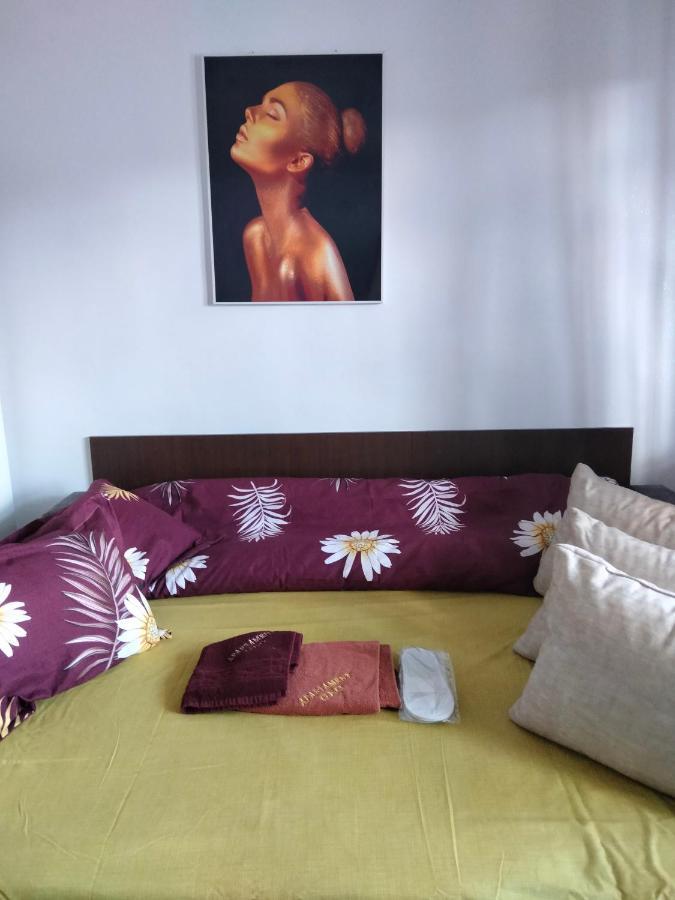Apartament Geo Nehoiu Eksteriør billede
